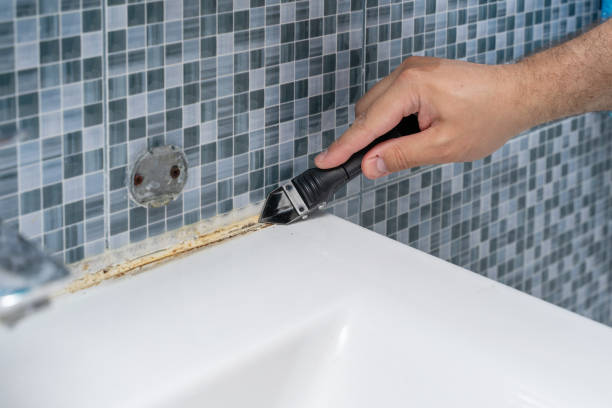 Best Insurance-Related Mold Remediation in St Marys, GA